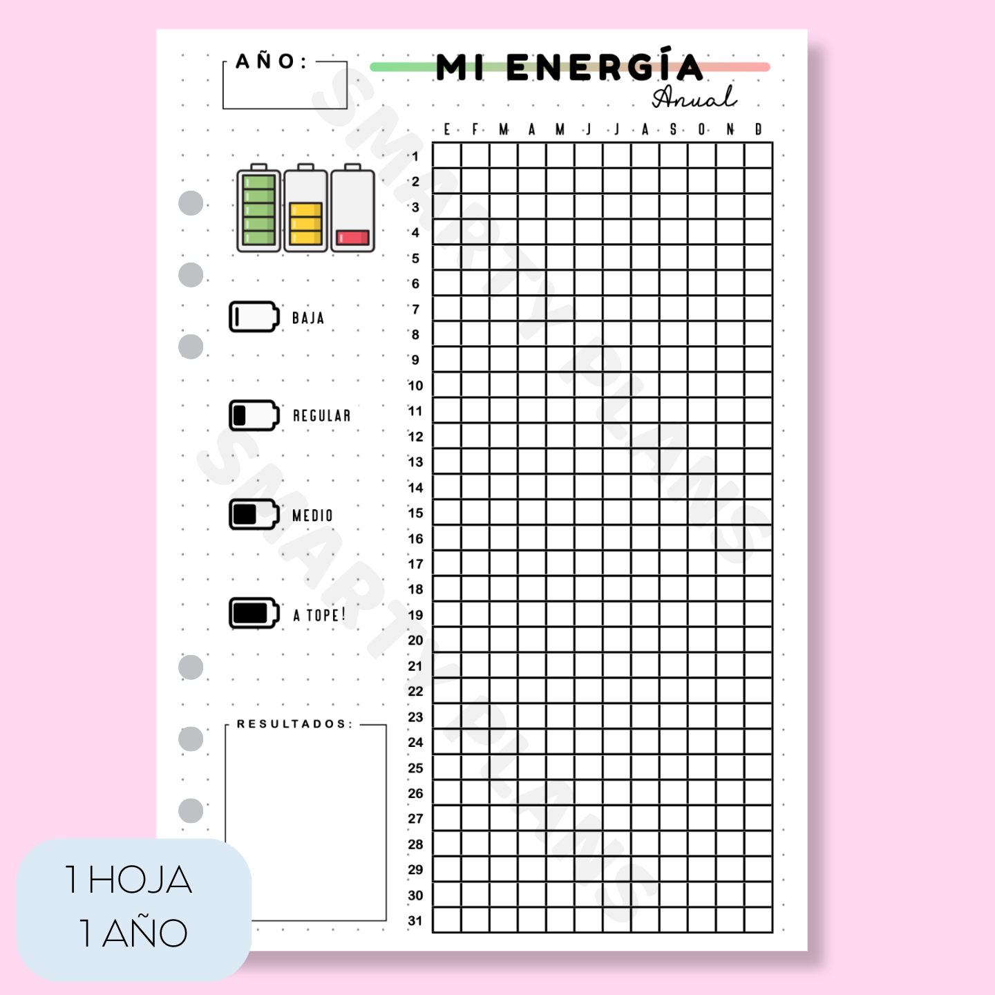 Hoja Anual - Mi Energía