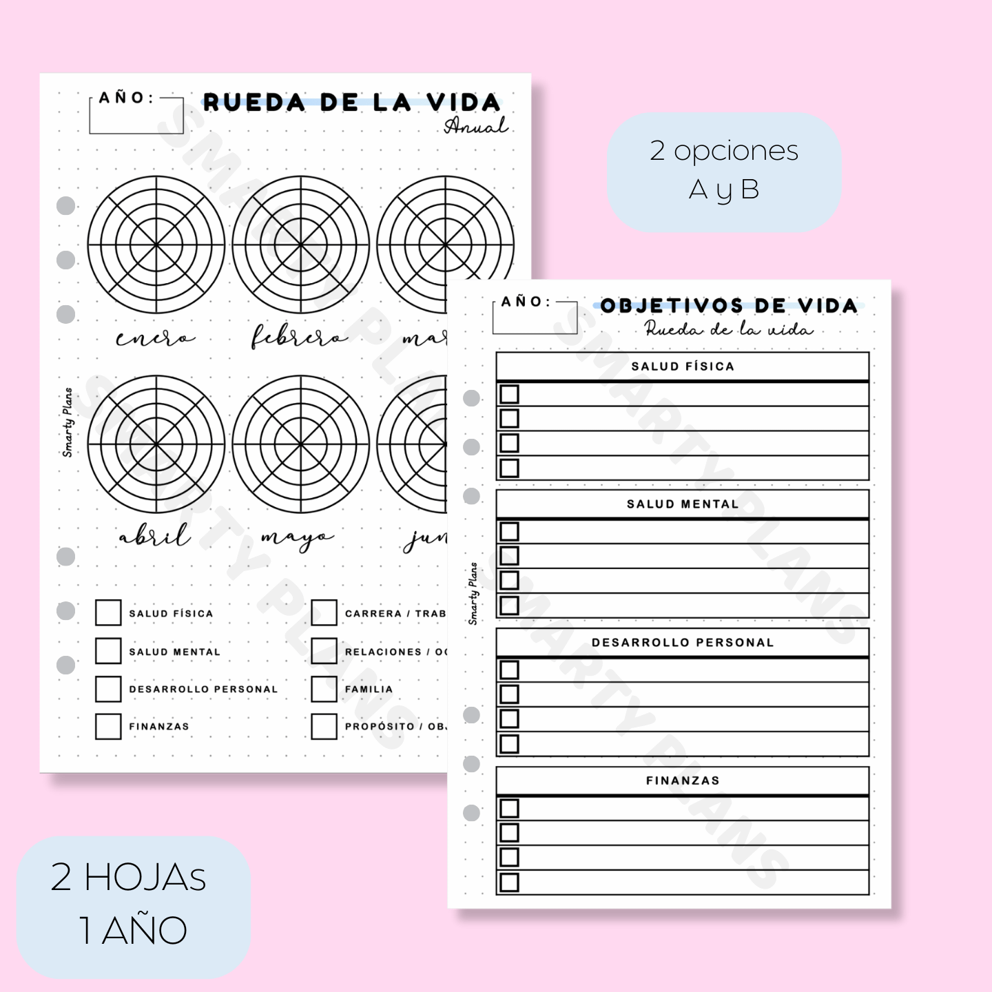 Hoja Anual - Rueda de la Vida