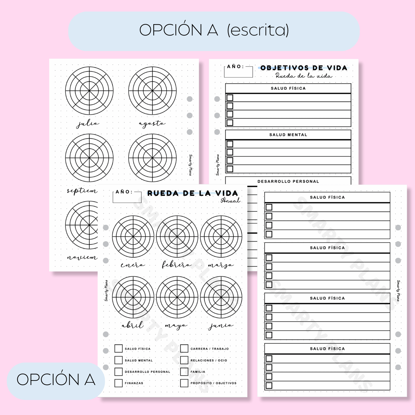 Hoja Anual - Rueda de la Vida