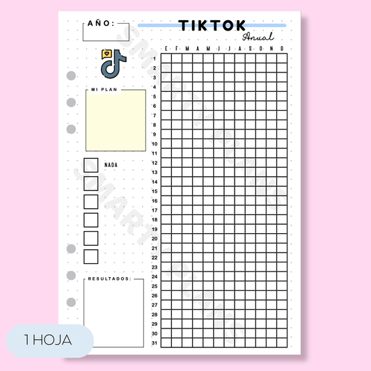 Hoja Anual Redes Sociales - TikTok
