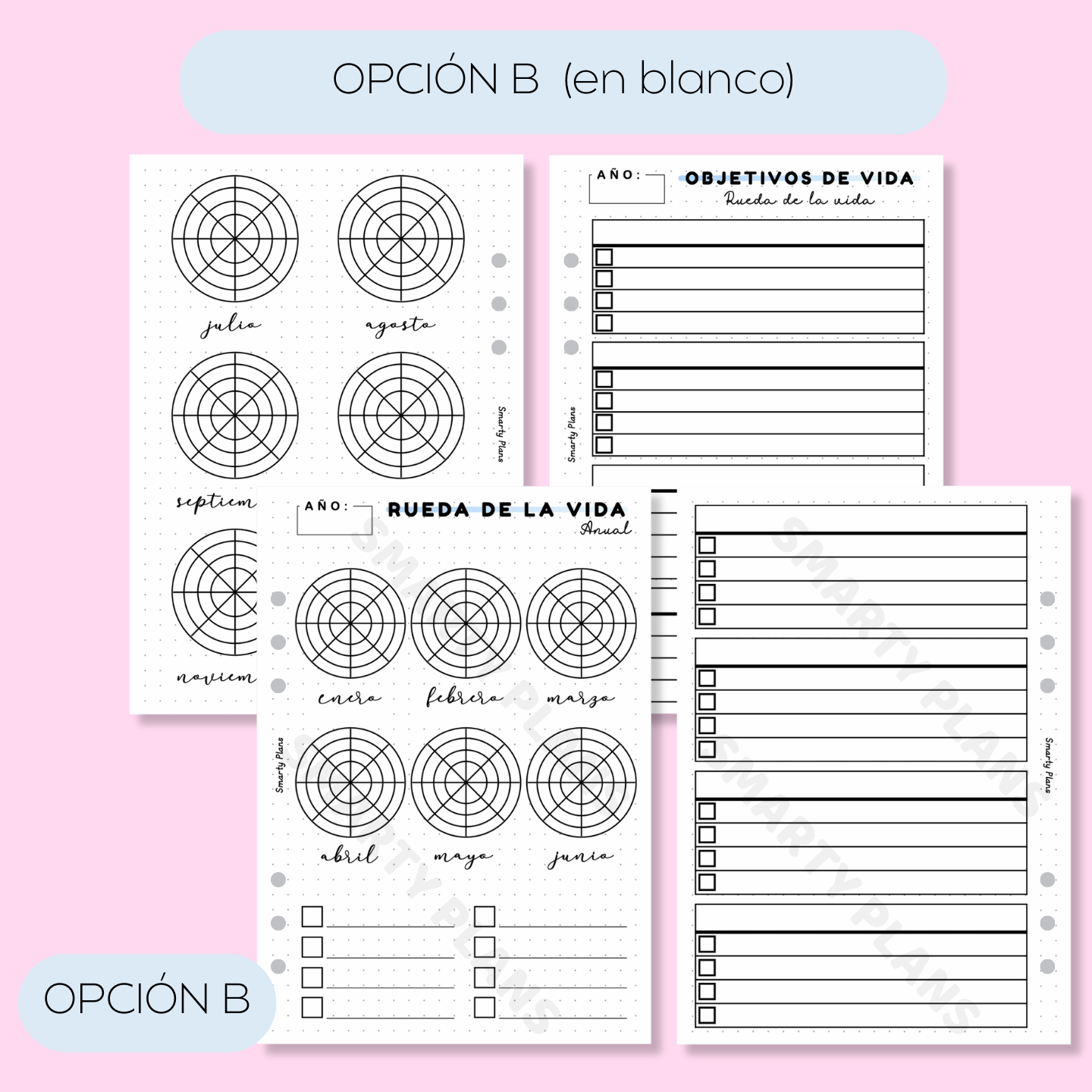 Hoja Anual - Rueda de la Vida