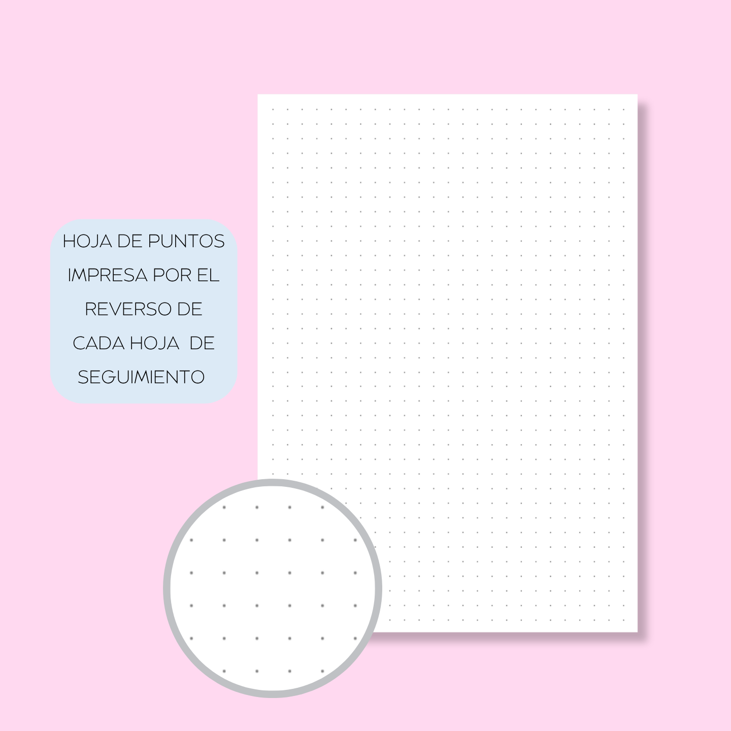 Plantilla Individual Coche - Seguro