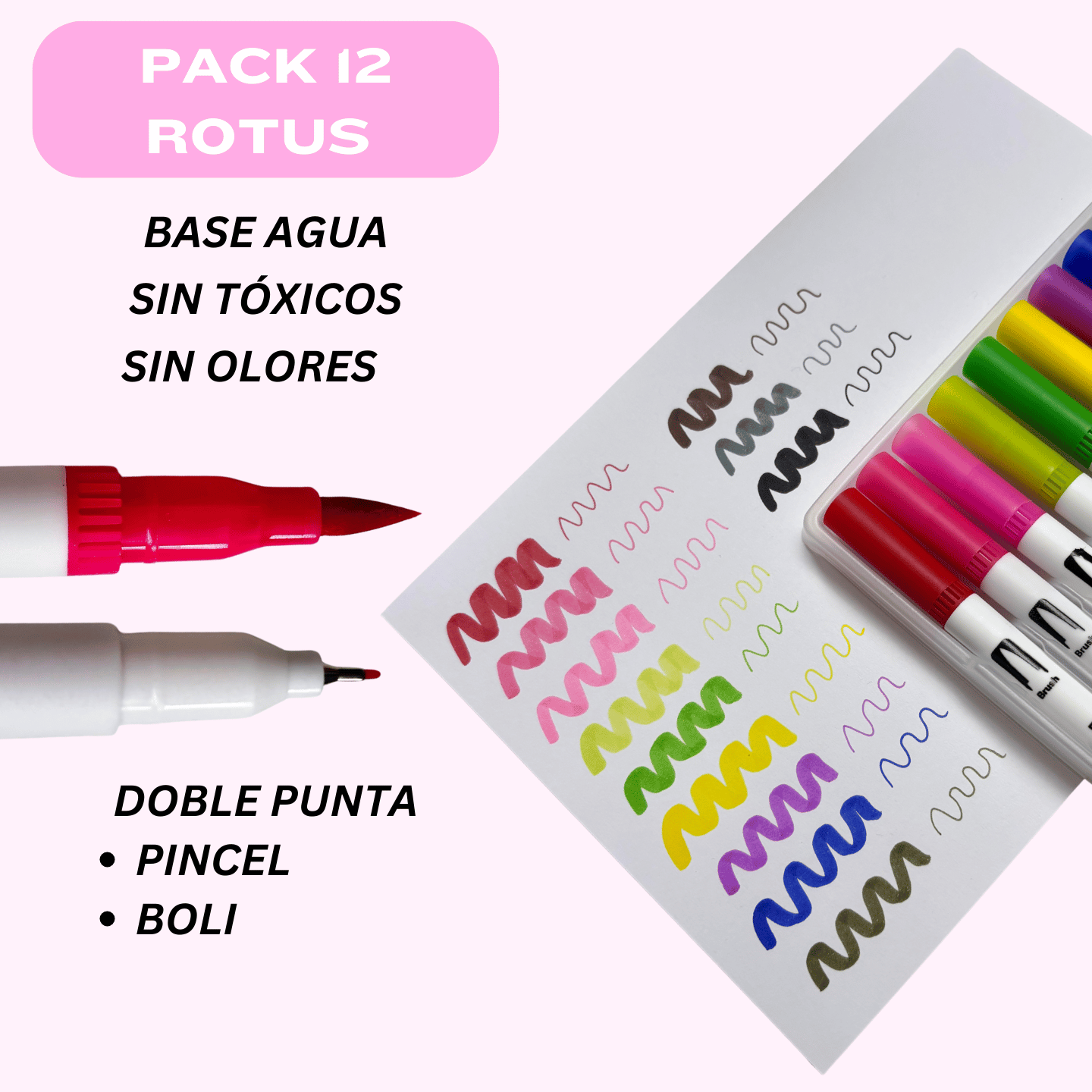 Pack 12 Rotus