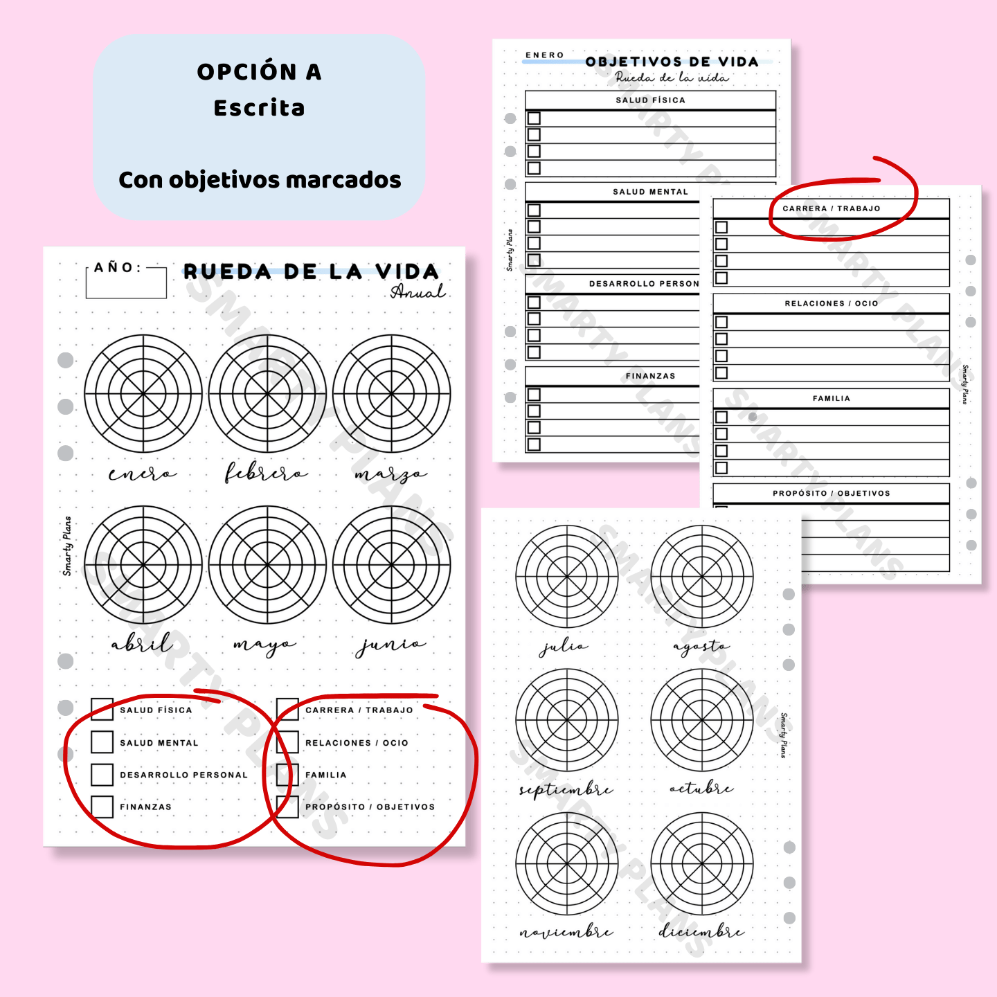 Pack Anual - Rueda de la Vida