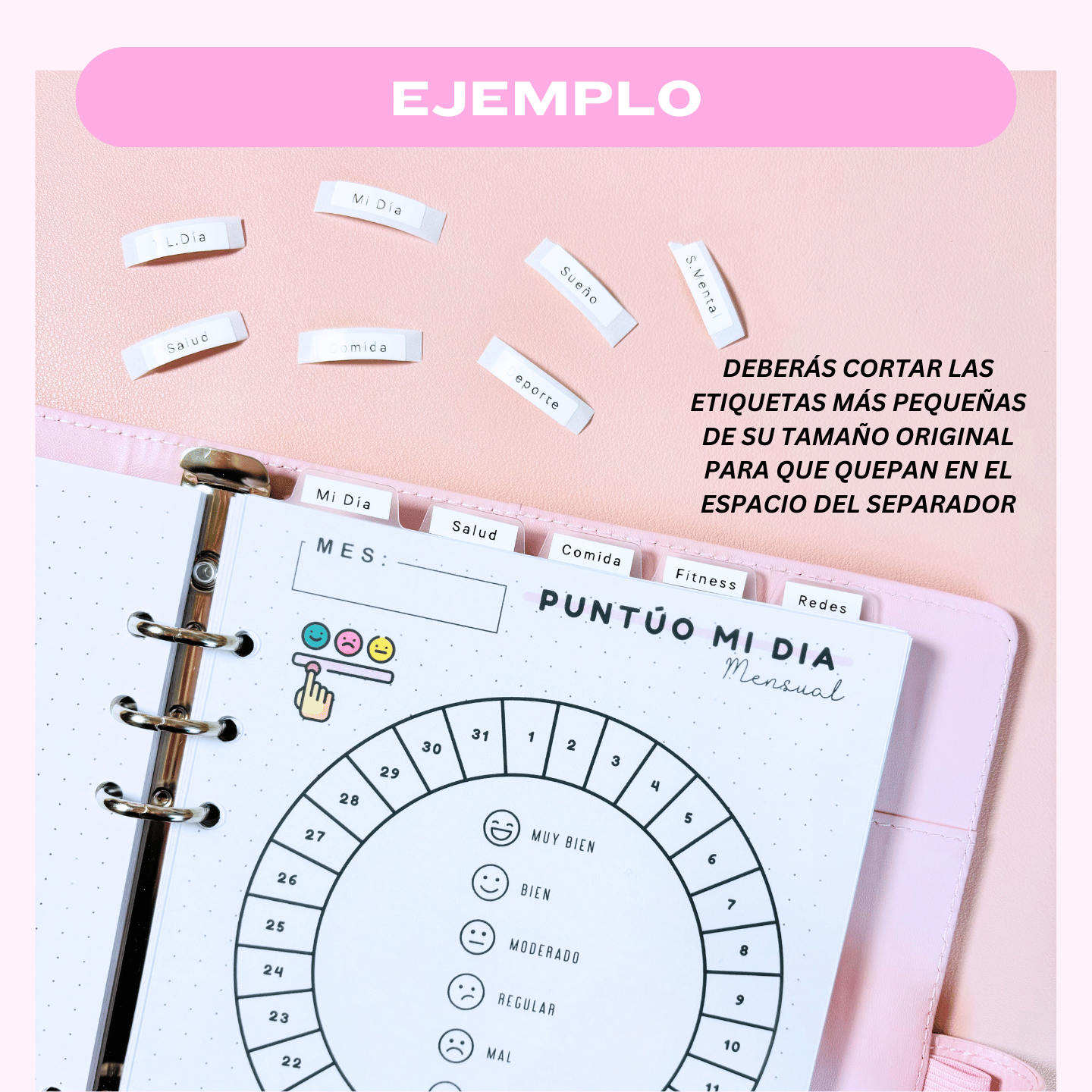 Pack 5 Separadores A5 y A6