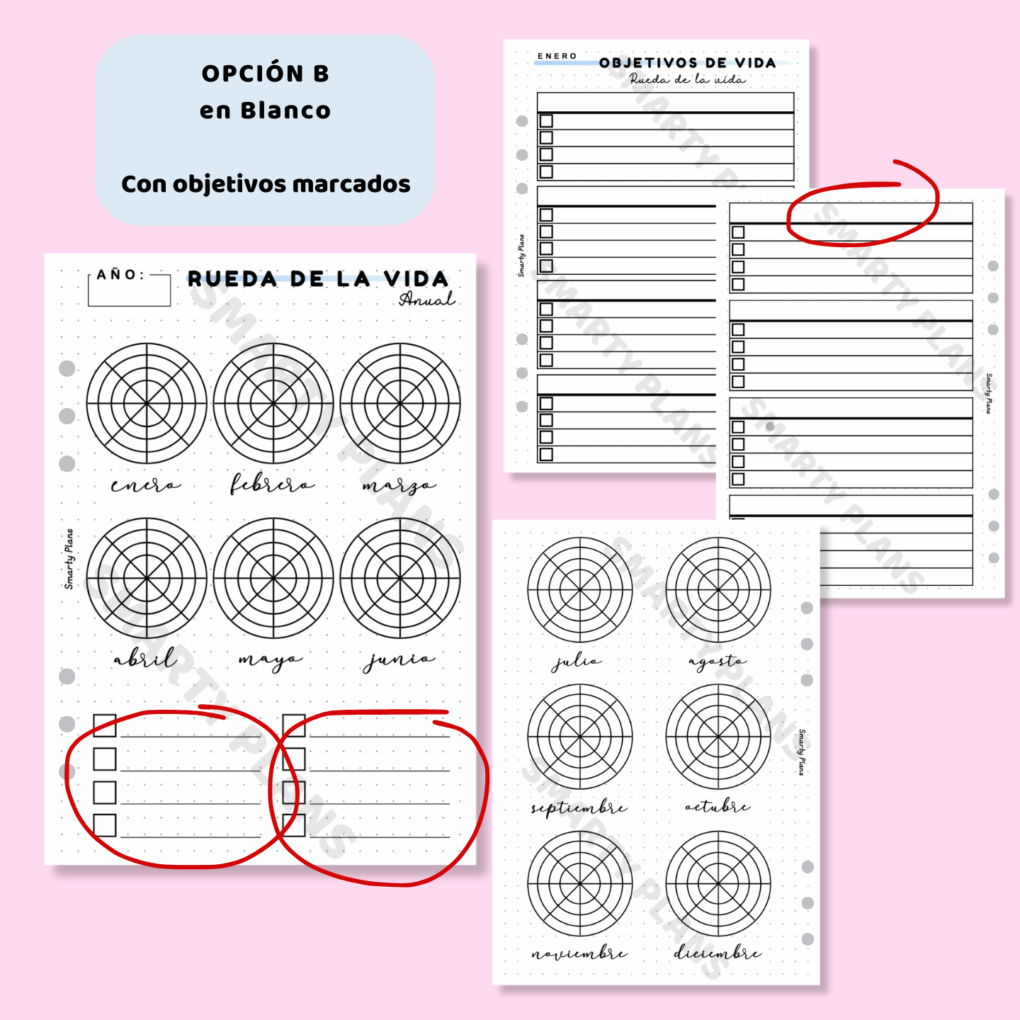 Pack Anual - Rueda de la Vida