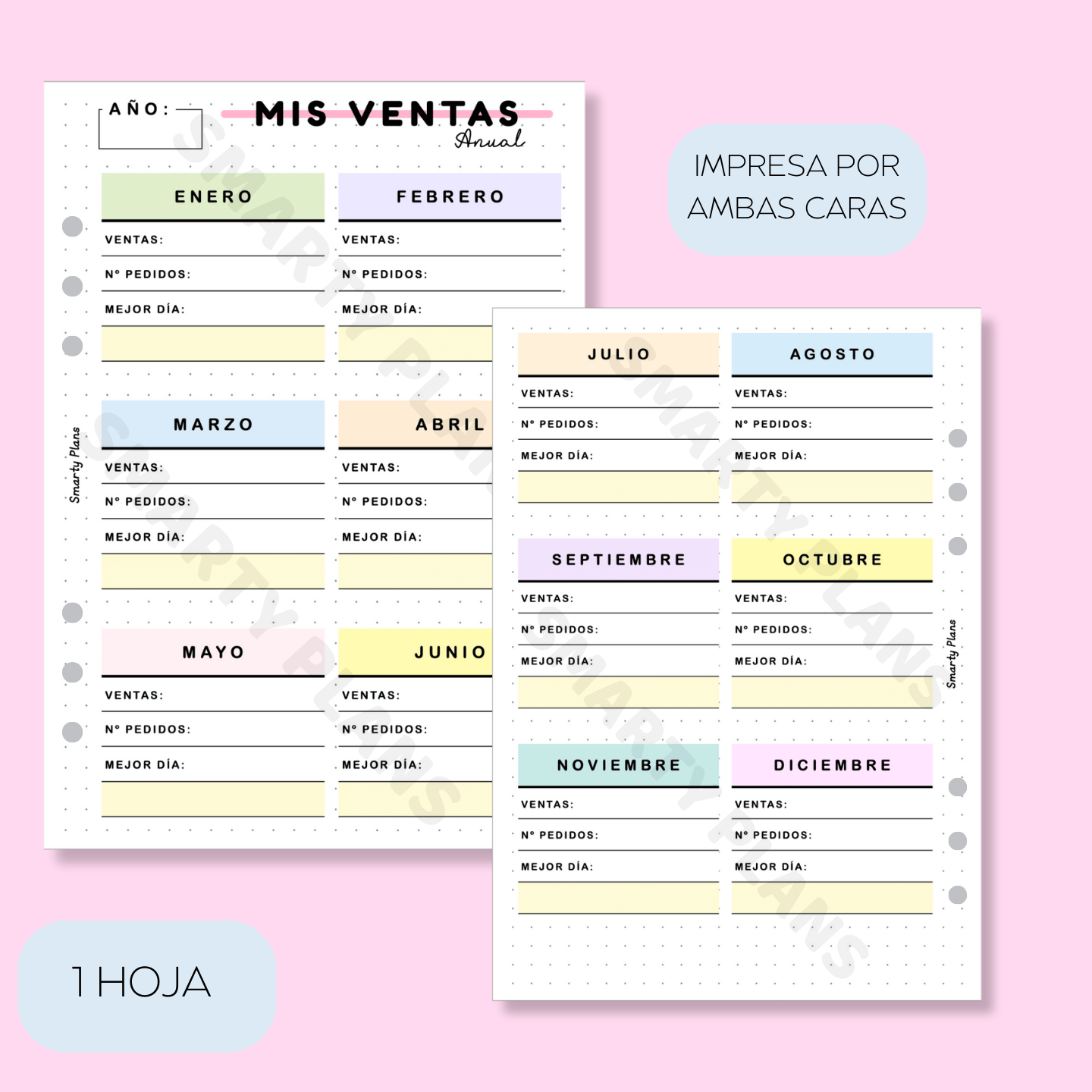 Hoja Anual - Mis Ventas